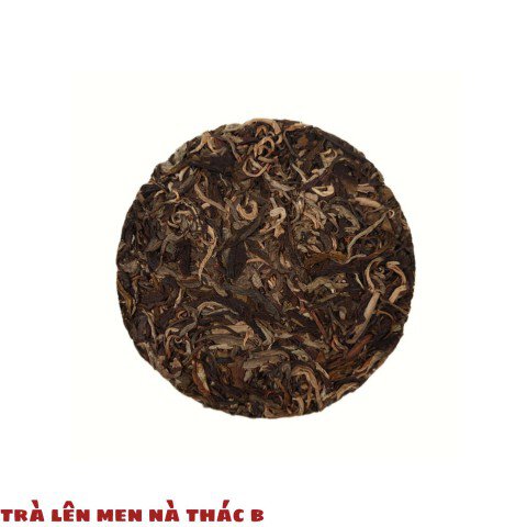 Bánh Trà lên men Nà Thác B - Trà Shan Tuyết Cổ Thụ 1 búp 2 lá Hà Giang